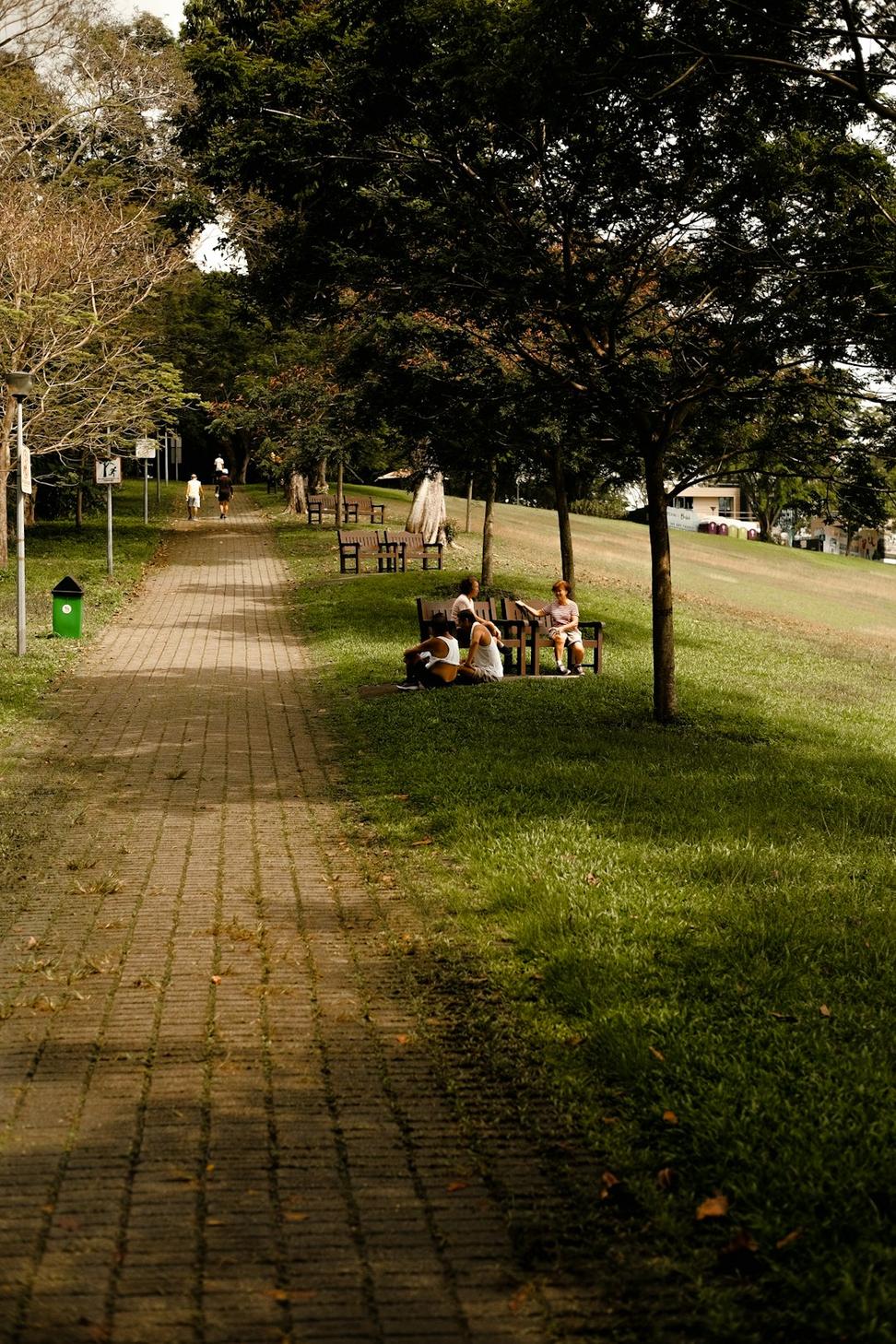 Urban planning project